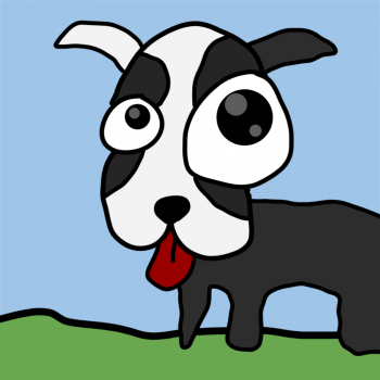 Boston terrier