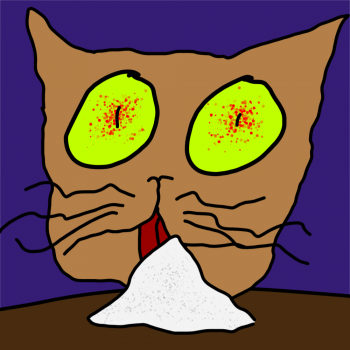 Un chat ben pété sur la coke