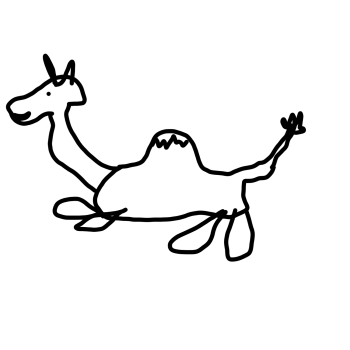 Dromadaire