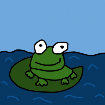 grenouille sur nénuphar