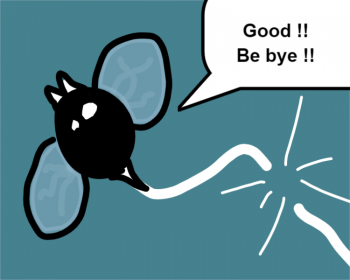 Good !! Be bye !!